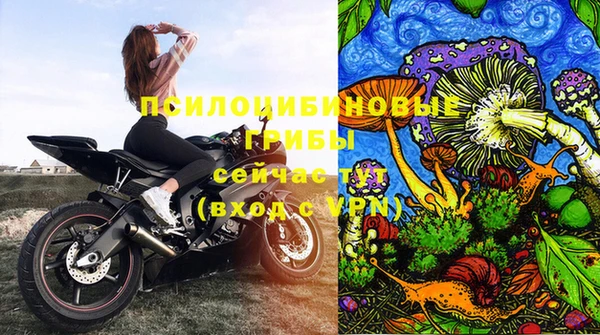 МДПВ Аркадак